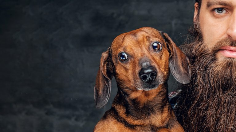 ile bakterii mieszka w brodzie, ile bakterii jest w brodzie, broda a bakterie, mycie brody