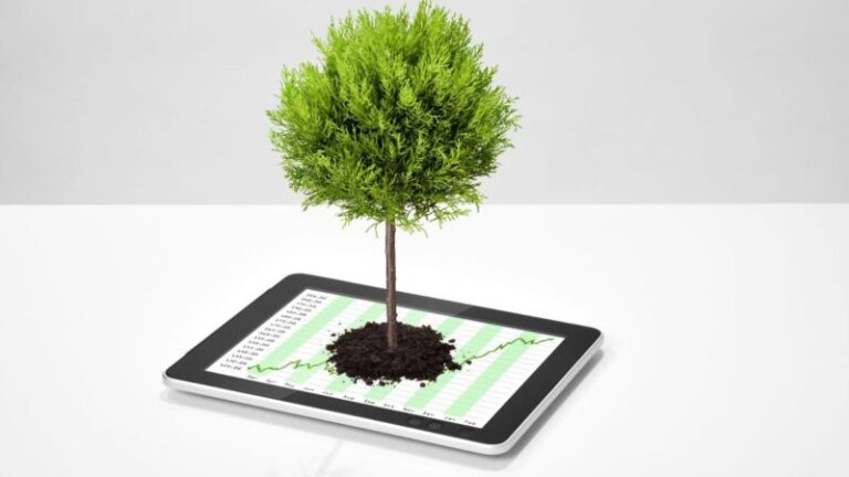 ekologiczna firma, ekologiczny biznes, hairstore