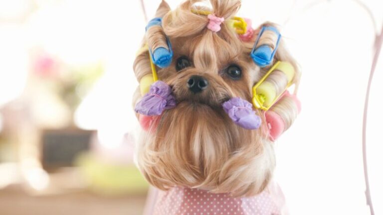 papiloty do włosów, papiloty efekty, loki na papiloty, jak zakładać papiloty