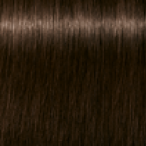 3.8
