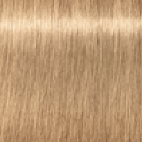 8.03
