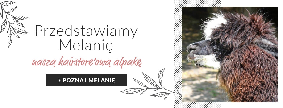 Alpaki z Hairstore