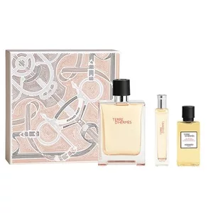 Hermes Terre D'Hermes Zestaw dla mężczyzn: woda toaletowa 100ml + miniatura 15ml + żel pod prysznic 40ml
