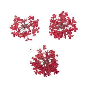 Peggy Sage, suszone kwiaty do dekoracji Red Bouquet, ref. 898500