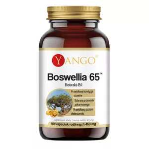 Yango Boswellia 65 suplement diety 90 kapsułek