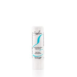 Embryolisse Protective Repair Stick regenerujący balsam do ust w sztyfcie 4g