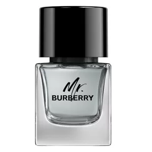 Burberry Mr. Burberry woda toaletowa spray 50ml (M)