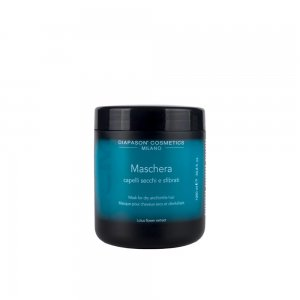 Diapason Maschera Capelli Secchi e Sfibrati, maska do włosów przesuszonych i zniszczonych, 1000ml