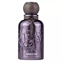 Auraa Desire Spiritz ekstrakt perfum spray 100ml (U)