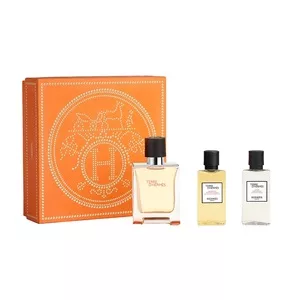 Hermes Terre D'Hermes zestaw woda toaletowa spray 50ml + żel pod prysznic 40ml + balsam po goleniu 40ml (M)