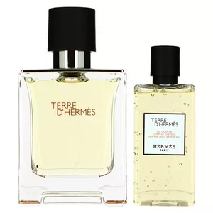 Hermes Terre d´Hermes, zestaw: Edt 100 ml + Żel pod prysznic 80 ml (M)