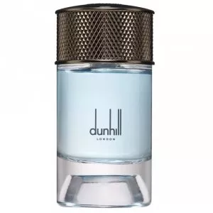 Dunhill Nordic Fougere woda perfumowana spray 100ml (M)