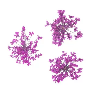 Peggy Sage, suszone kwiaty do dekoracji Pink Bouquet, ref. 898506