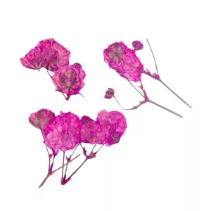 Peggy Sage, suszone kwiaty do dekoracji Pink Branches, ref. 898507