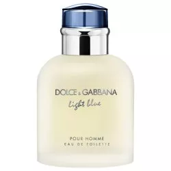 Dolce & Gabbana Light Blue Pour Homme woda toaletowa spray 40ml (M)