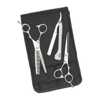 Aristocut Best, zestaw startowy nożyczek fryzjerskich, 5.5, profesjonalne narzędzia fryzjerskie - brak degażówek