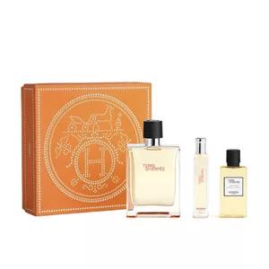 Hermes Terre D'Hermes zestaw dla mężczyzn woda toaletowa 100ml + mini 15ml + żel pod prysznic 40ml drzewno-owocowy