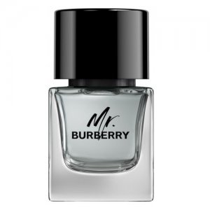 Burberry Mr. Burberry woda toaletowa spray 50ml (M)