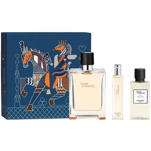 Hermes Terre D'Hermes zestaw woda toaletowa spray 100ml + woda toaletowa spray 15ml + balsam po goleniu 40ml (M)