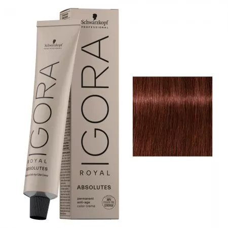 Schwarzkopf Igora Royal Absolutes, farba do włosów, 6-80 Absolutes, 60ml