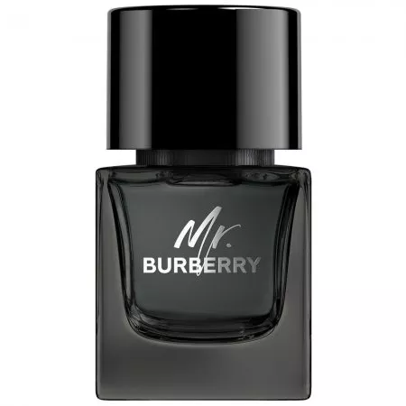 Burberry Mr.Burberry woda perfumowana spray 50ml (M)