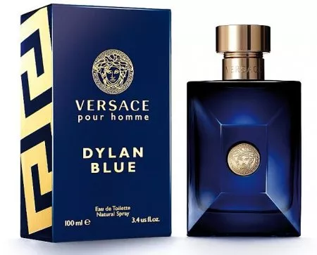 Versace Pour Homme Dylan Blue, woda toaletowa, 100ml (M)