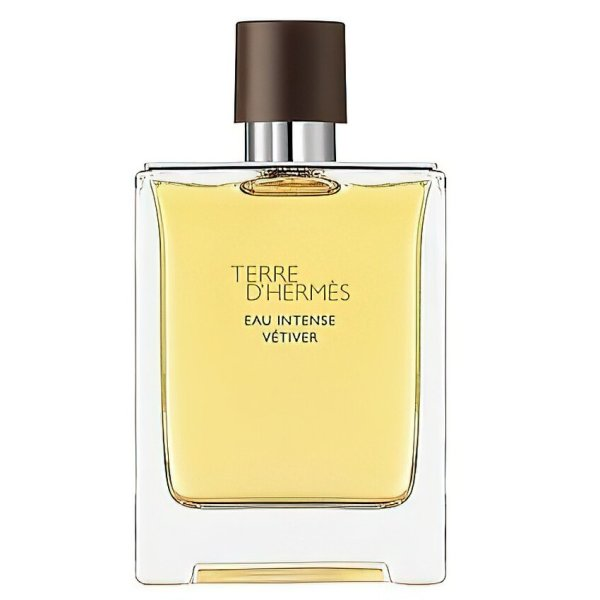 Hermes Terre D'Hermes Eau Intense Vetiver perfumy męskie drzewno-aromatyczne 200ml