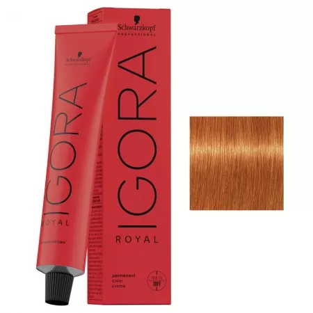 Schwarzkopf Igora Royal, profesjonalna farba do włosów, 8-77, 60ml