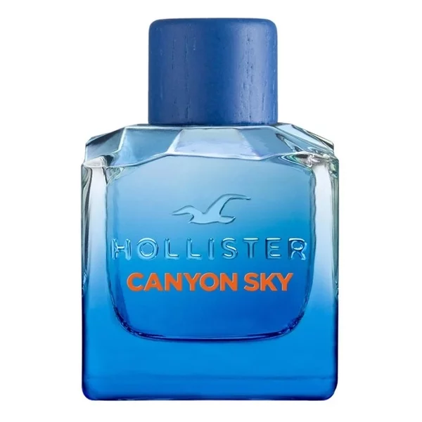 Hollister Canyon Sky For Him woda toaletowa spray 100ml (M)