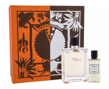 Hermes Terre d´Hermes, zestaw: Edt 100 ml + Żel pod prysznic 80 ml (M)