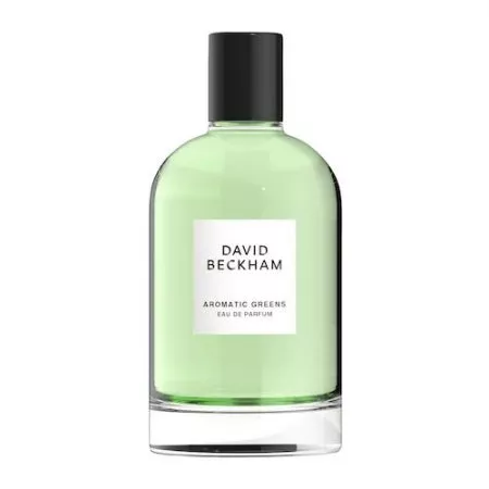 David Beckham Aromatic Greens woda perfumowana spray 100ml (M)