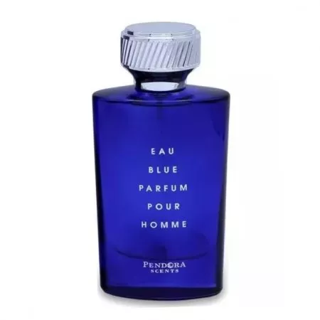 Pendora Scents Eau Blue Parfum Pour Homme woda perfumowana spray 100ml (M)