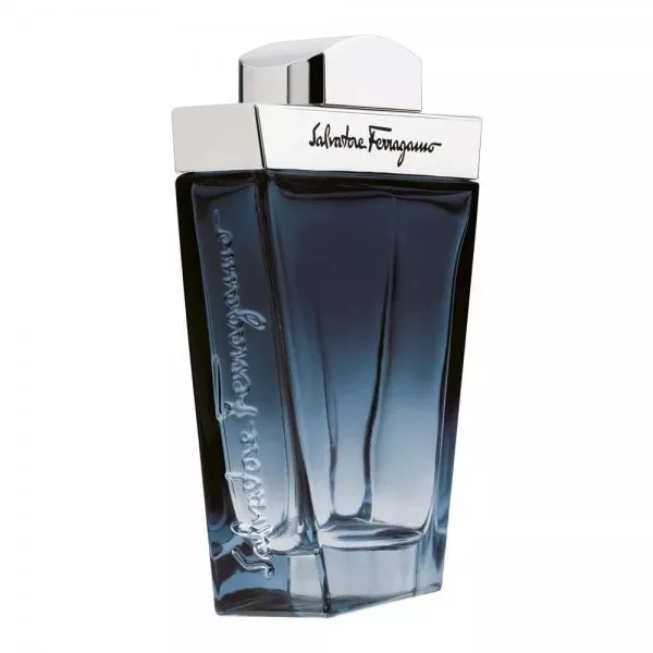 Salvatore Ferragamo Subtil Pour Homme woda toaletowa spray 30ml (M)