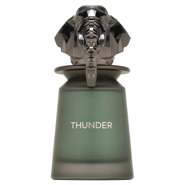 French Avenue Thunder woda perfumowana spray 100ml (M)