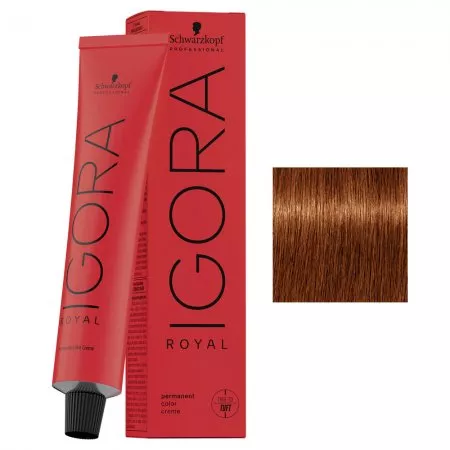 Schwarzkopf Igora Royal, profesjonalna farba do włosów, 6-77, 60ml
