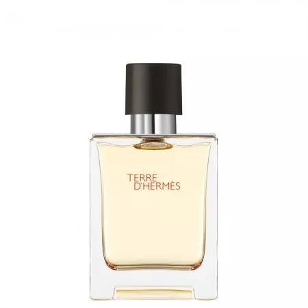 Hermes Terre D'Hermes woda toaletowa spray 50ml (M)