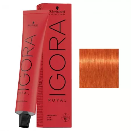 Schwarzkopf Igora Royal, profesjonalna farba do włosów, 0-77, 60ml