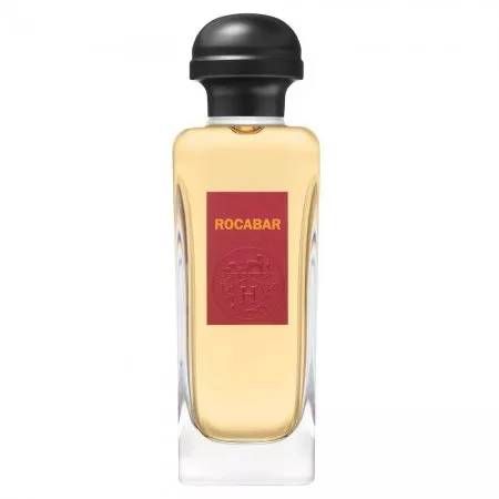Hermes Rocabar woda toaletowa spray 100ml (M)