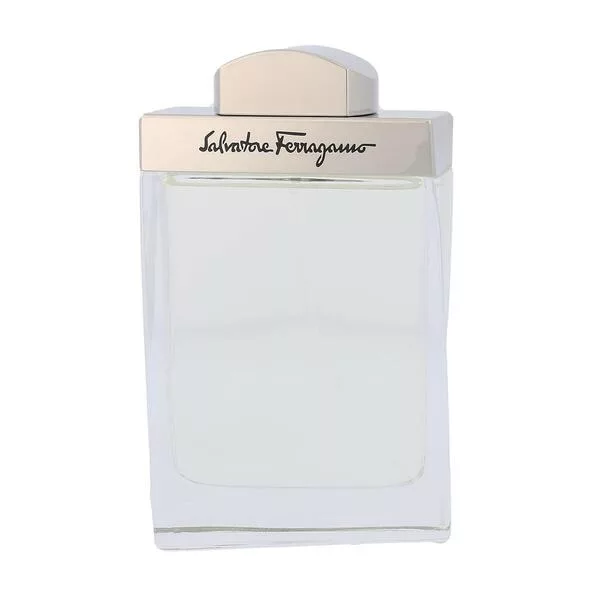 Salvatore Ferragamo Pour Homme, woda toaletowa, 100ml (M)